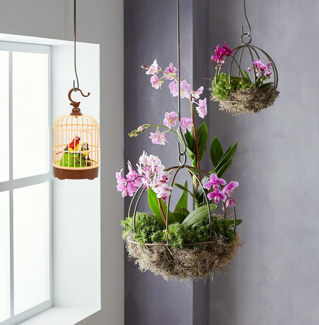 Bird cage toy hanging by a window next to plants in a home