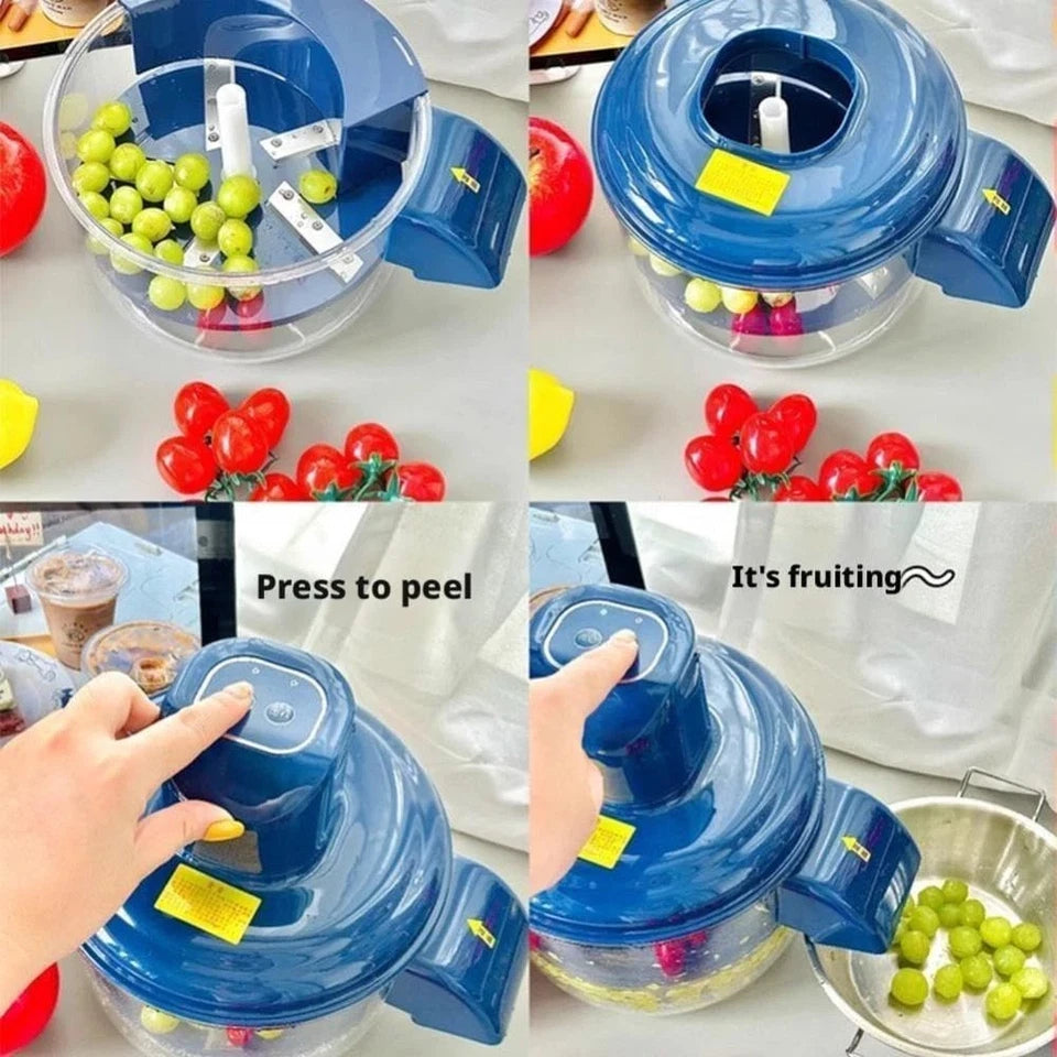 Premium Stainless Steel Vegetable & Fruit Peeler